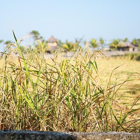 Hôtel Bali Tiger Hideaway à Pulukan Extérieur photo