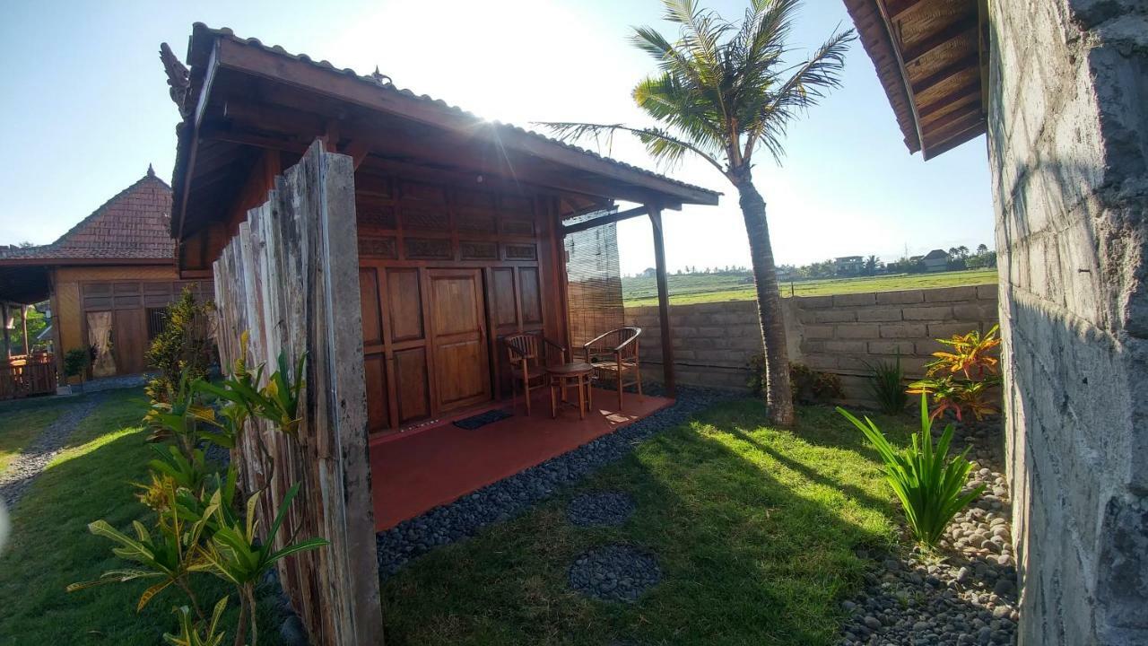 Hôtel Bali Tiger Hideaway à Pulukan Extérieur photo