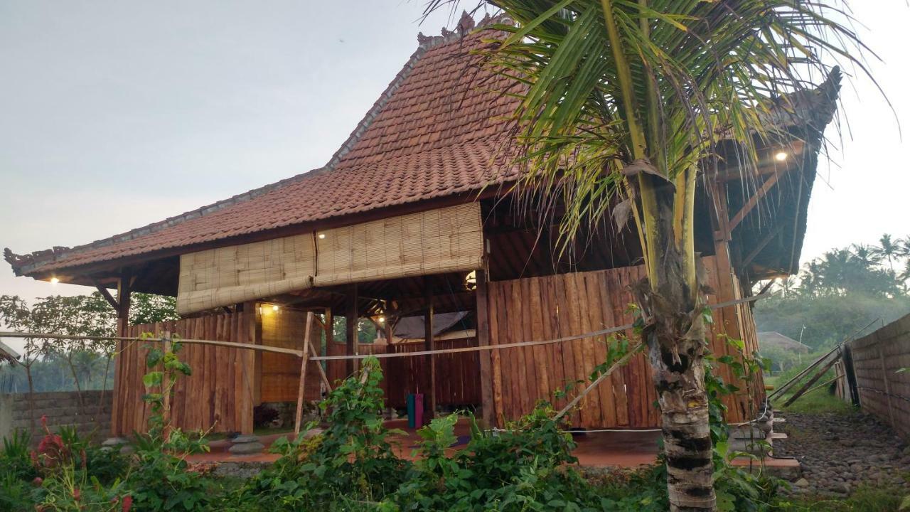Hôtel Bali Tiger Hideaway à Pulukan Extérieur photo