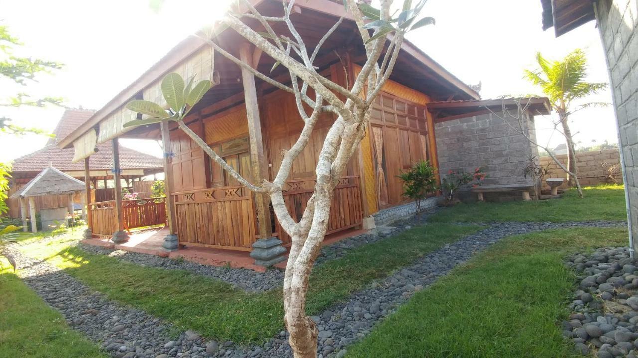 Hôtel Bali Tiger Hideaway à Pulukan Extérieur photo