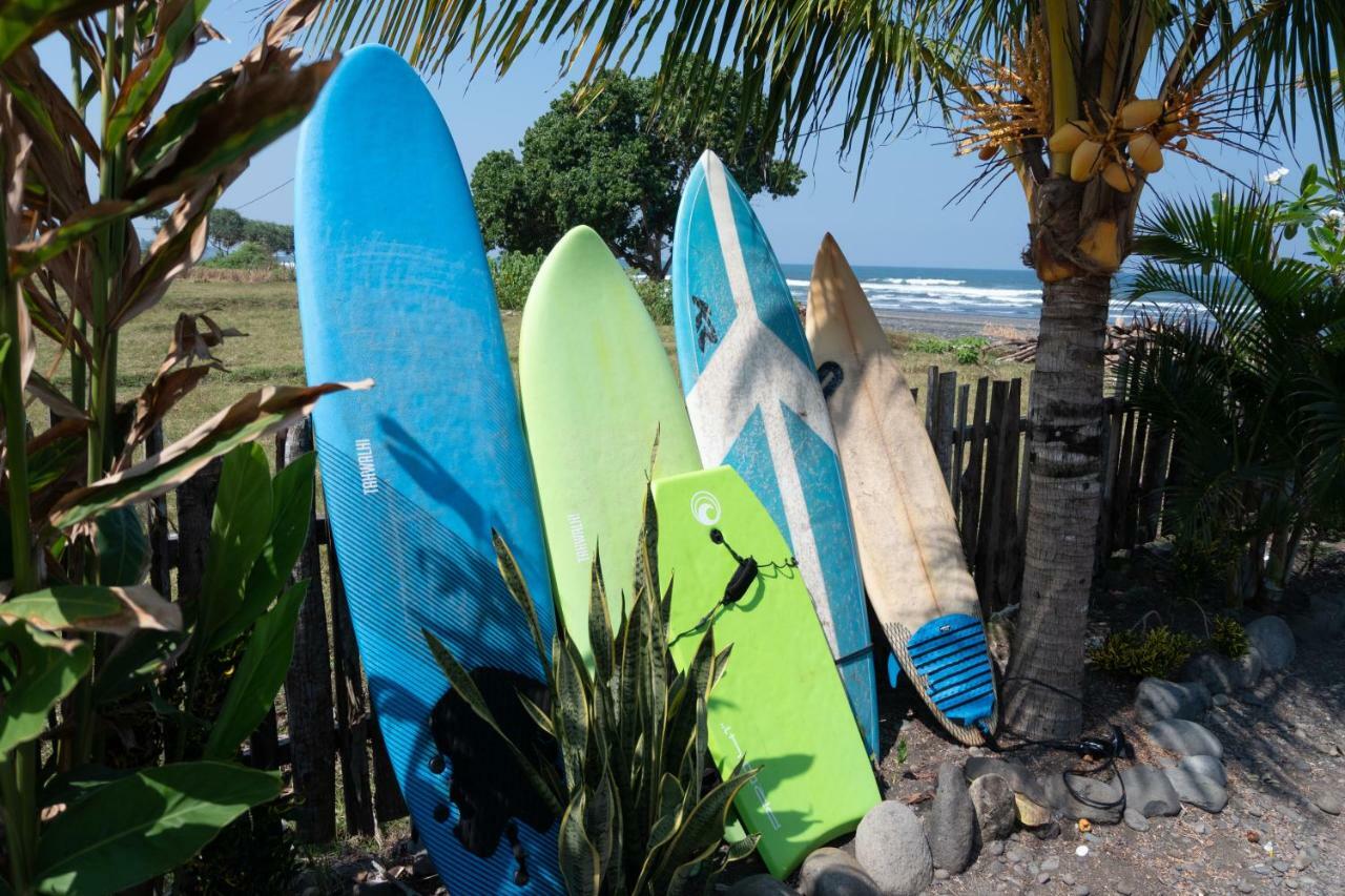 Hôtel Bali Tiger Hideaway à Pulukan Extérieur photo