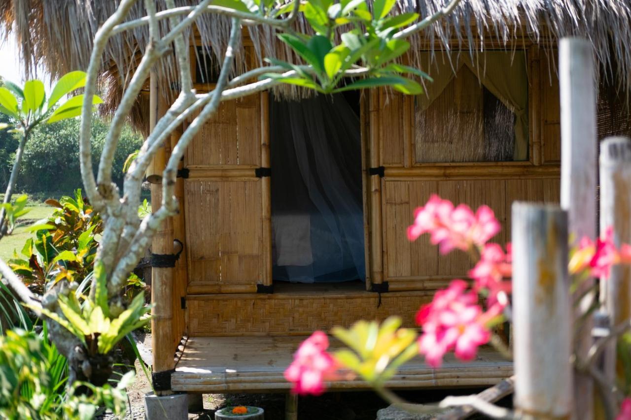Hôtel Bali Tiger Hideaway à Pulukan Extérieur photo